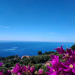 Apartment Azur